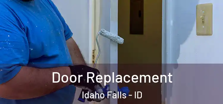 Door Replacement Idaho Falls - ID