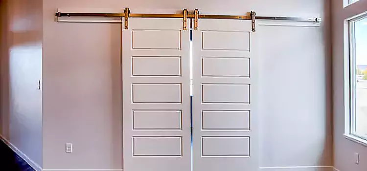 Glass Barn Door with Installation Hardware Kit Idaho Falls